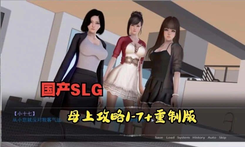 母上攻略 存档管理 演示图 1